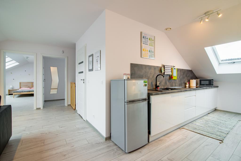 Apartament Rodzinny Mountain Aparts Swieradow-Zdroj Exterior photo